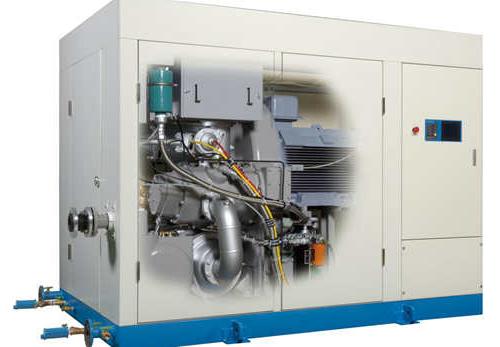 Oil-free dry screw air compressor